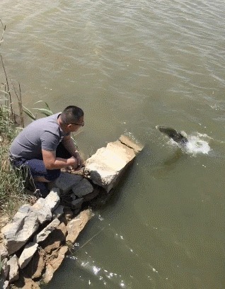 |搞笑GIF段子:这么漂亮的妹子敢嫁你,你敢娶么!