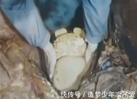 考古人员#直击1956年定陵发掘现场:代价惨痛、教训深刻,从此不再挖帝王陵