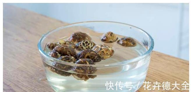 金针菇|宁可十天不吃肉,不可一日不食菌!8道菌类菜肴,荤素都有,收藏
