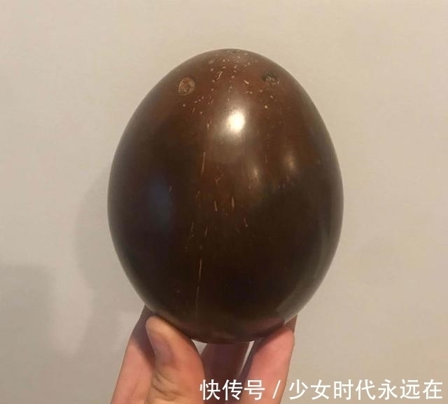 照片$30张“活久未见”的照片:被闪电击中的木头,好像一副国画