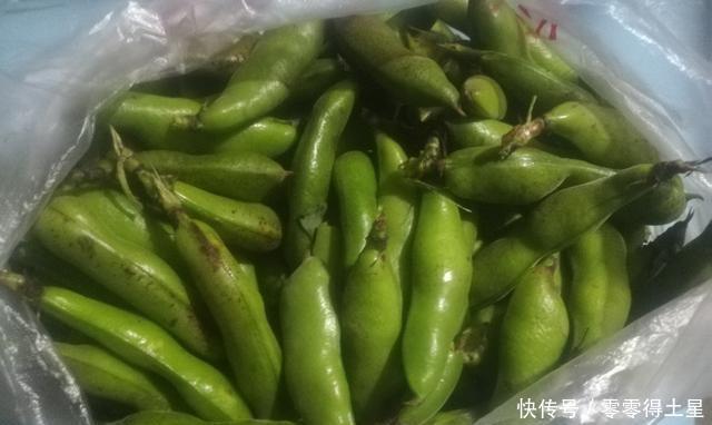 回锅肉|让我们来一盘回锅肉炒蚕豆,荤素搭配更有营养,你值得拥有