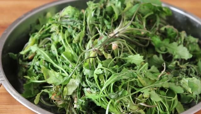 早餐饼|荠菜别再包饺子，教你1个新吃法，营养解馋，吃一次就念念不忘