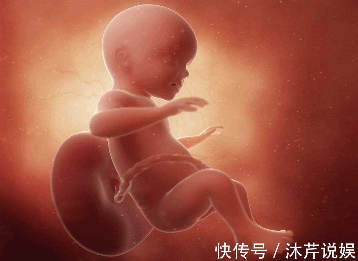 尿液|胎儿在母亲肚子里,生活的很“精致”!不过他的大小便都去哪了