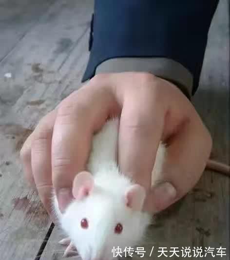 |搞笑段子:有哪些段子,能让人笑到肾抽筋?第100辑