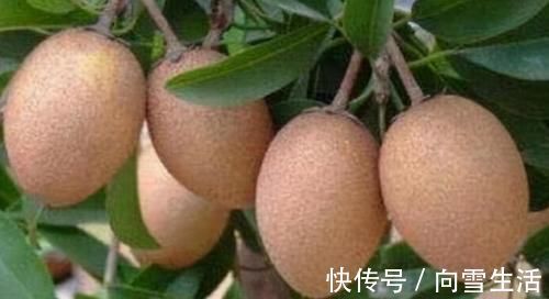 含有|人想長壽全靠吃，以下食物換著吃，清熱解毒，減脂輕身，更健康！