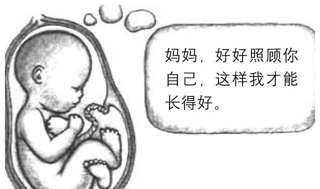 孕妈|孕妈妈的身体健康程度对胎儿的影响,太有用了