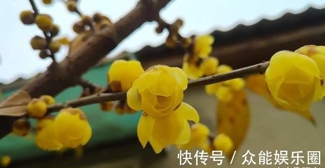 神宗实录!黄庭坚看不惯邻家美女下嫁贫民,写下两首酸溜溜的诗,却成为经典