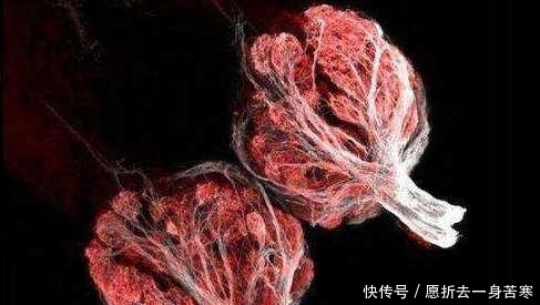 厉害|10个有趣的冷知识,你可以不知道,但知道了就不是一般的厉害!