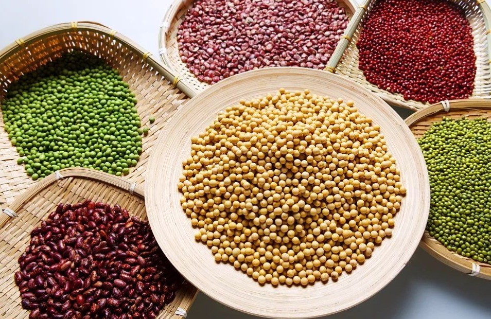 饮食|高血压除了吃药降压,饮食方面也有非常多的选择,来看文章吧!