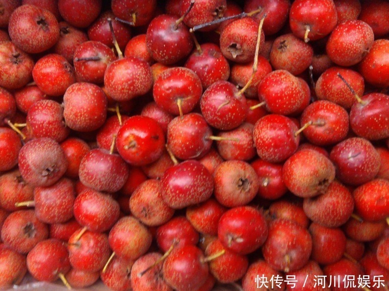 胎儿|女性在孕期有3种水果不建议多吃，可能会加重体寒，影响胎儿发育