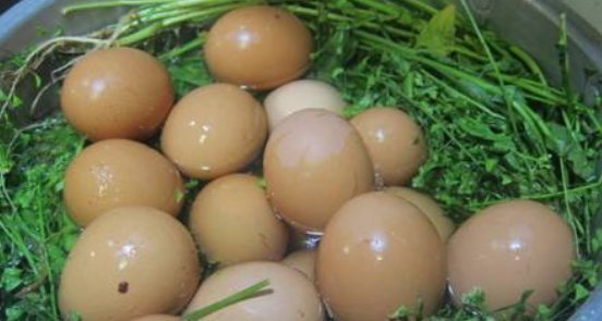 艾叶|经常用艾叶煮水洗头,不到一个月,好处主动找上门