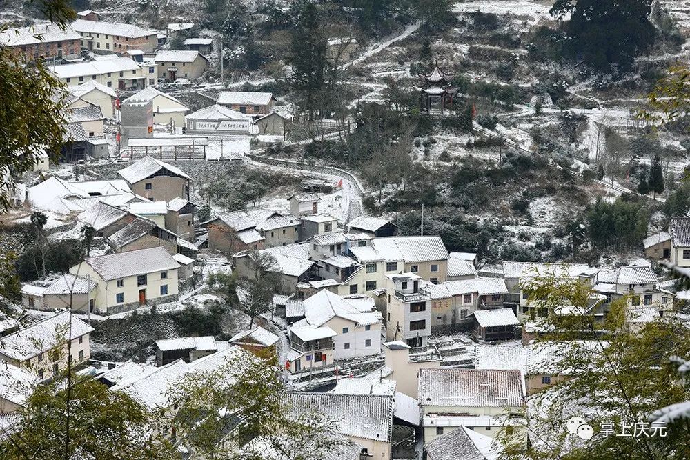 胡惠菲|庆元绝美雪景大片，上新了！