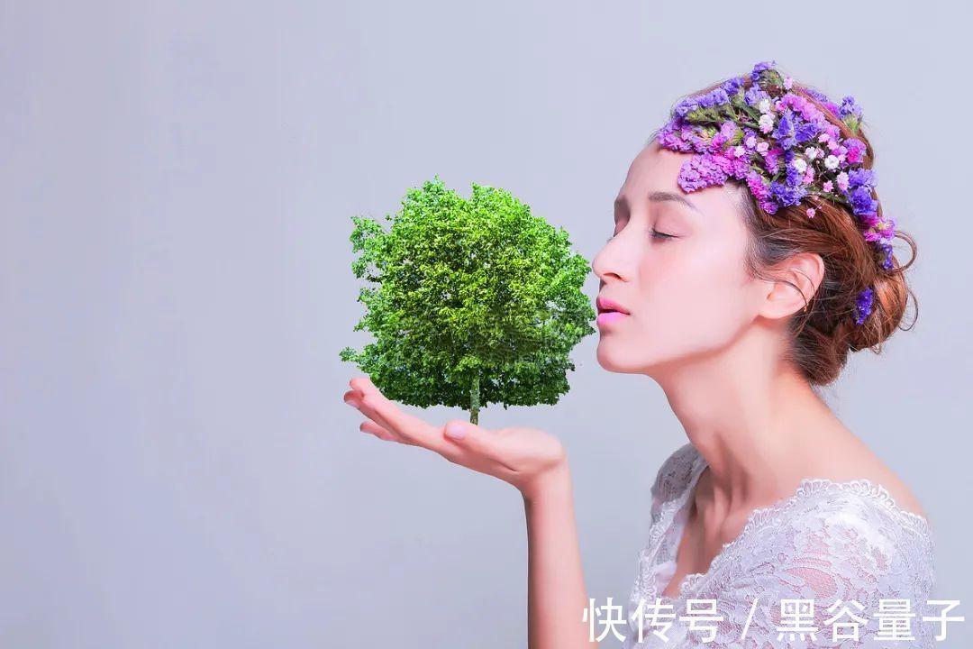资产|碳资产开发,碳足迹,碳金融,碳排放
