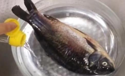 大厨|炖鱼去腥味，用白酒还是料酒？都错了，大厨教你一招，好吃无腥味