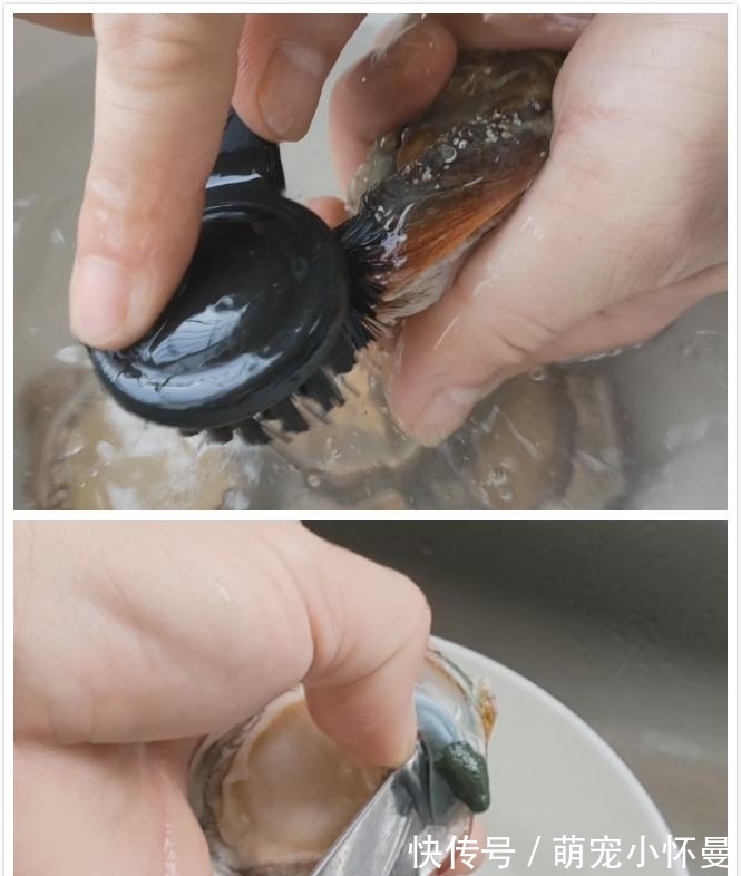 砂锅|鲍鱼汤怎么做好?秋季这样煲一锅,香醇浓厚营养丰富,做法还简单