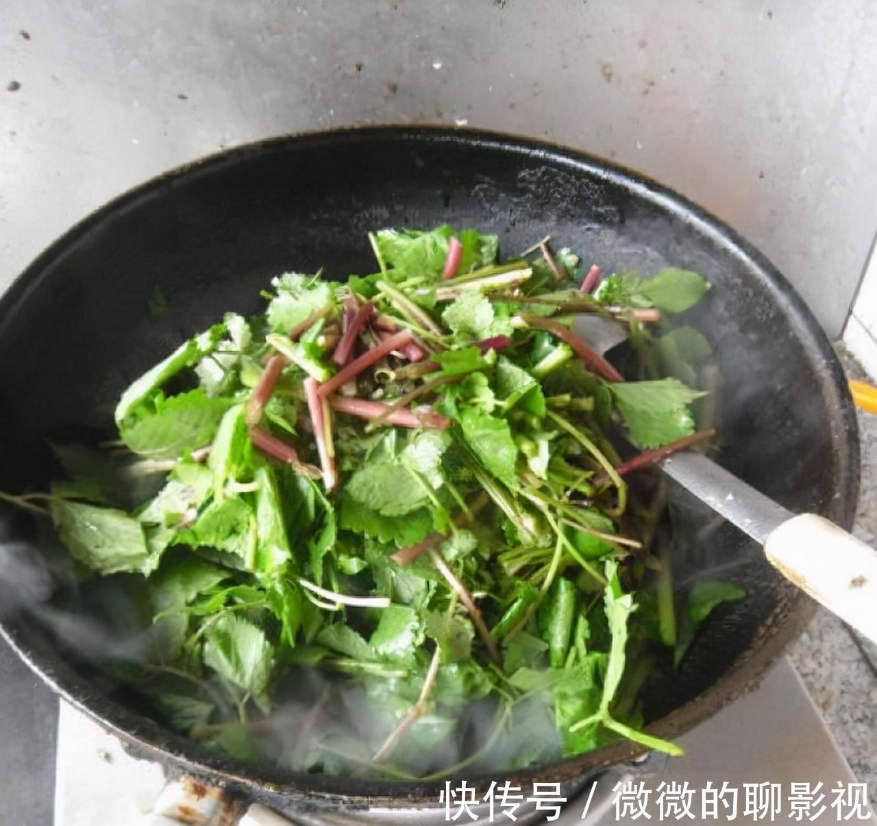 美味佳肴|6种常见野菜,比青菜好吃营养,解腻养人,你吃过几种?不要错过