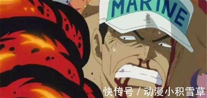 五老星|海贼王 赤犬隐瞒的秘密, 纹身大有来头, 青雉知道1个