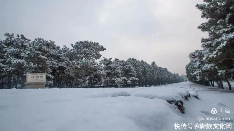 冬日的清西陵等你来看雪