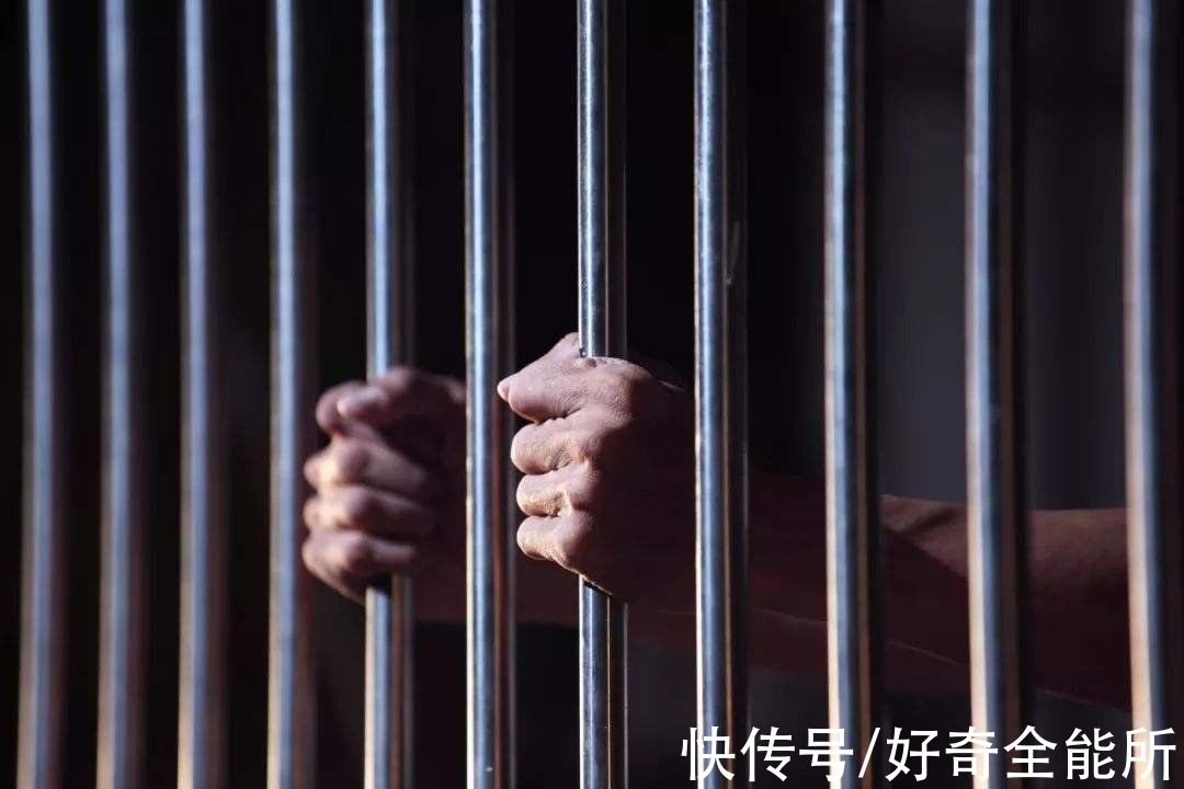 路由器|上海斐讯号称业内小华为，创始人顾国平卷走830亿，一审被判无期