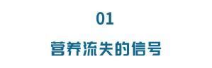 隐性饥饿|和骨头抢钙、和血液抢维C,你天天接触它,正悄悄偷走体内营养素