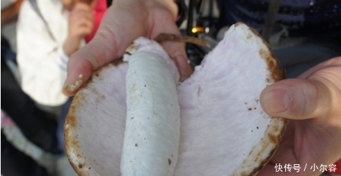 果王|桑葚韭菜靠边站，它才是“保健果王”！养颜补肾气，腰力更持久