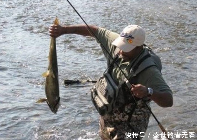 江河野钓不容易,学会这四招,爆护跑不了!——盛世三渔