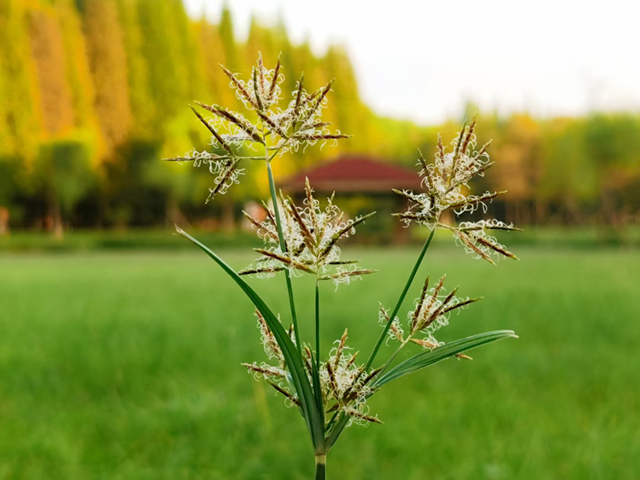 谦谦君子|虚怀若谷,谦谦君子——蒋琰滨大师