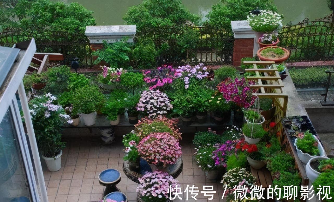 这三种东西铺在花盆里,不管种养什么花,根部都会生长得非常茁壮