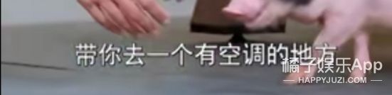 它逃,他追,它…跑的更飞?