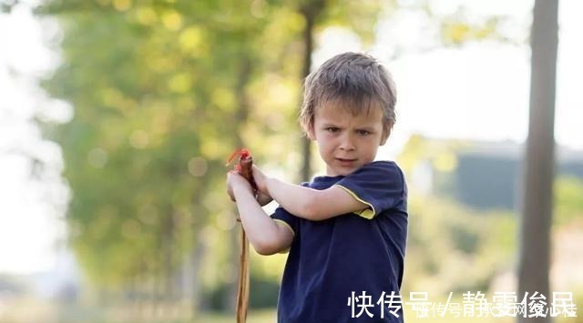 暴力|孩子易怒爱动粗?聪明宝妈这样解决,孩子从此再没打过人