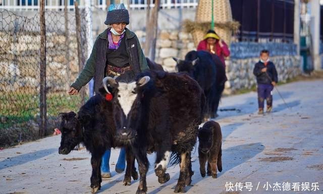 秘境|西藏最后的秘境村庄，免费却很难到达，就在中尼边境的雪山上