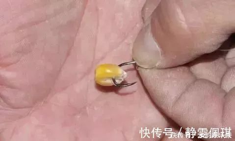 钓鱼比较费钱成本不足半瓶维它米，钓上来128斤鲫鱼