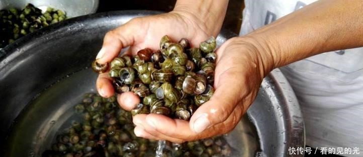  大厨炒田螺时，这一步不能不有，难怪做得不好吃！