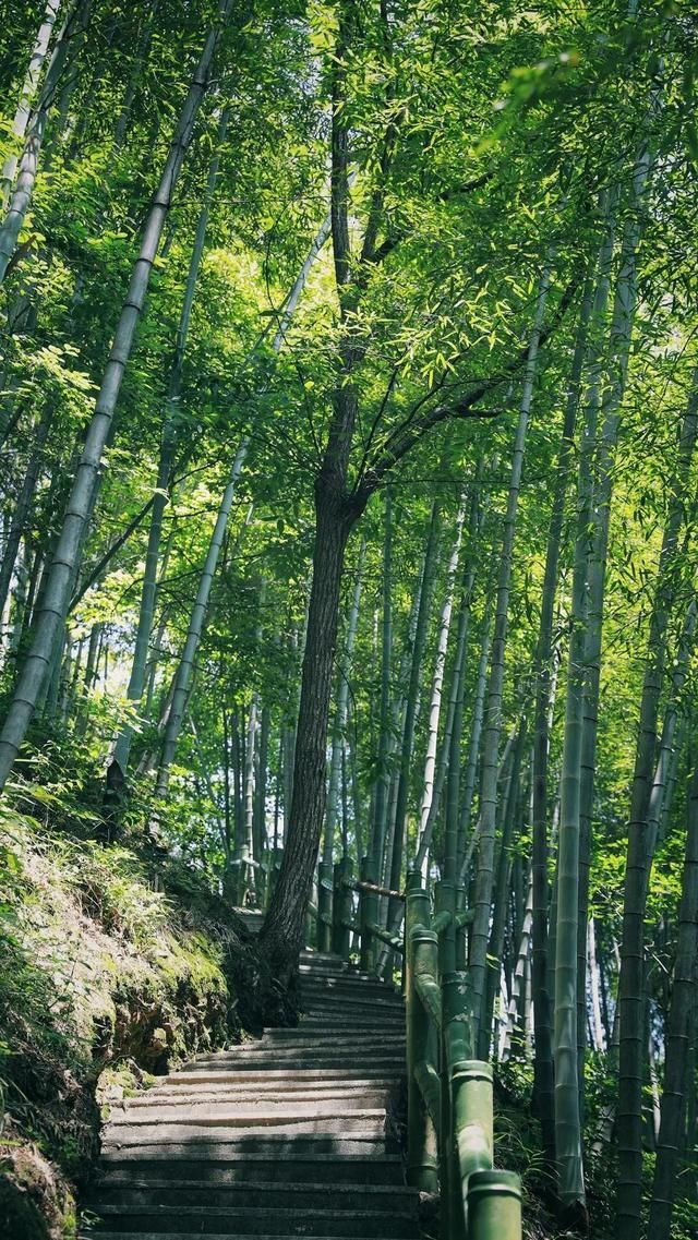 西递|有一种心动，叫黟县的四季