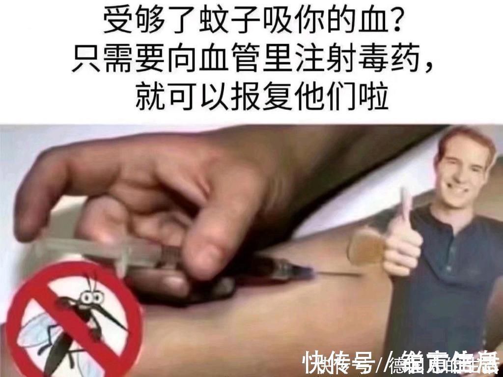 |搞笑趣图：当我尝试解开试卷上的问题VS当我玩游戏为角色配装备……