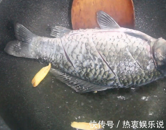 优质蛋白|保证鱼肉更鲜香，汤越煮越白无论炖什么鱼汤，只需多加“它”