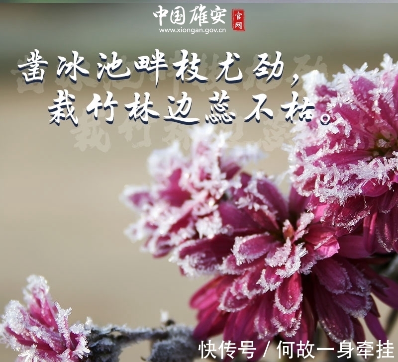 腊月@将诗意写进腊月,悄然珍藏