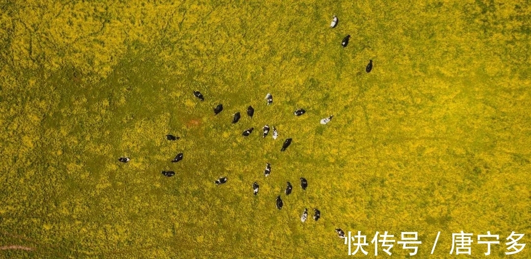 墨西哥!这本书不到8万字,让我们看到孤独是人生的常态