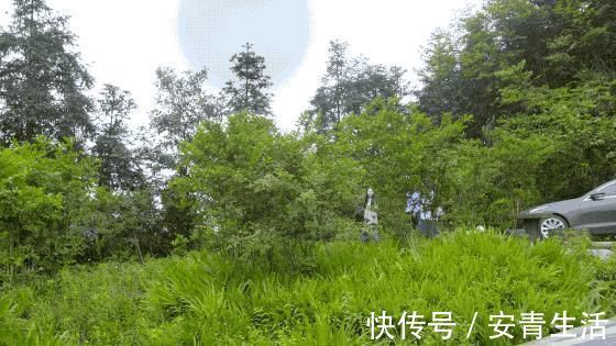大堰塘|一家四口隐居深山中,三年无经济收入,他们凭什么生存
