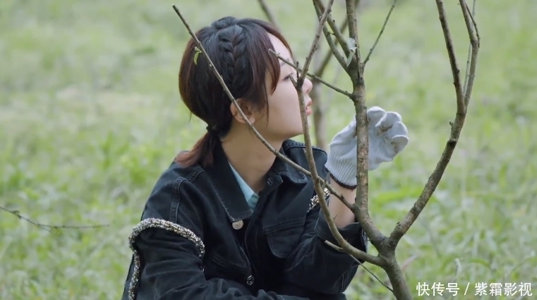 密码 “收视密码”不白叫!杨紫现身《向往5》,新一期收视让人乐开花