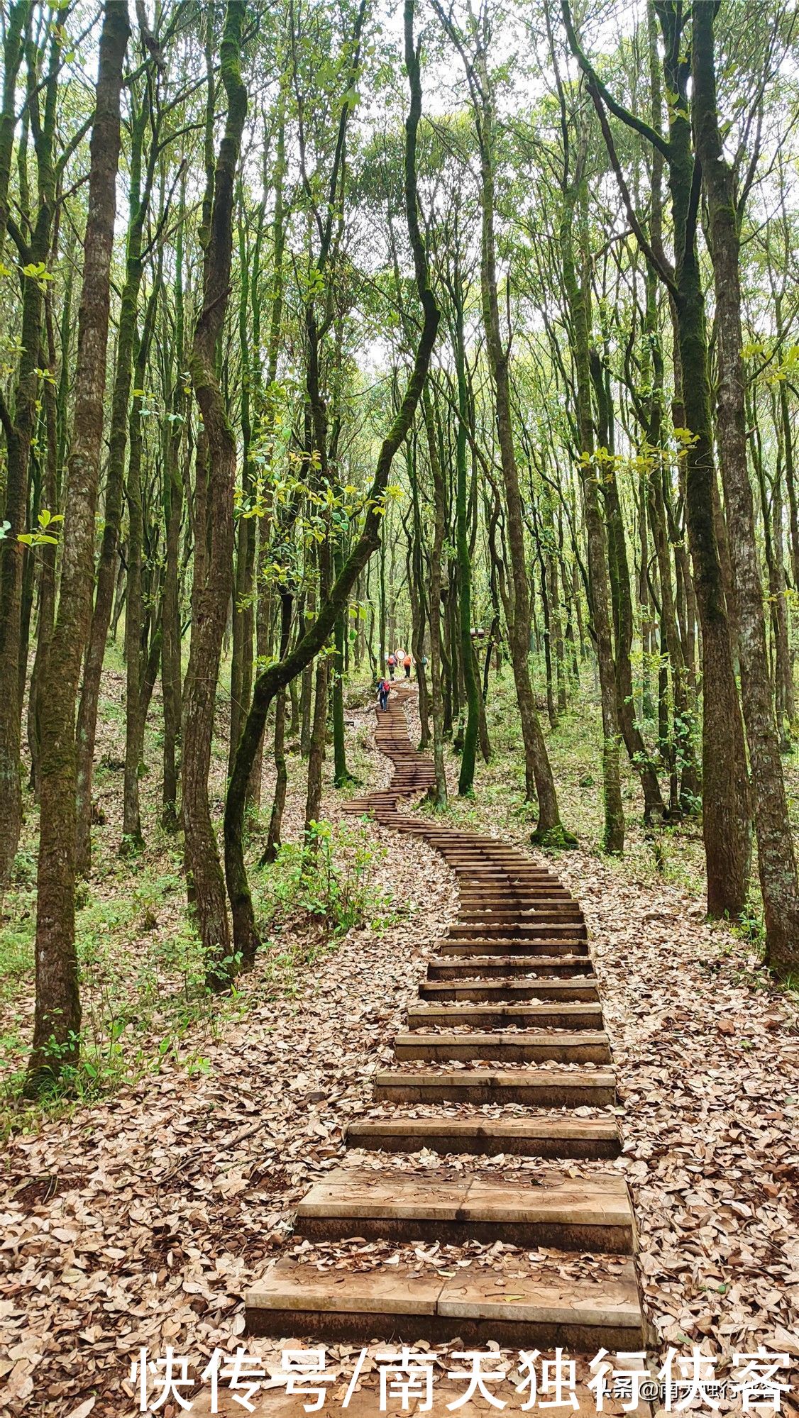 抚仙湖|穿越抚仙湖、梁王山、谷堆山，一步跨三县、一山观三海，风光真美