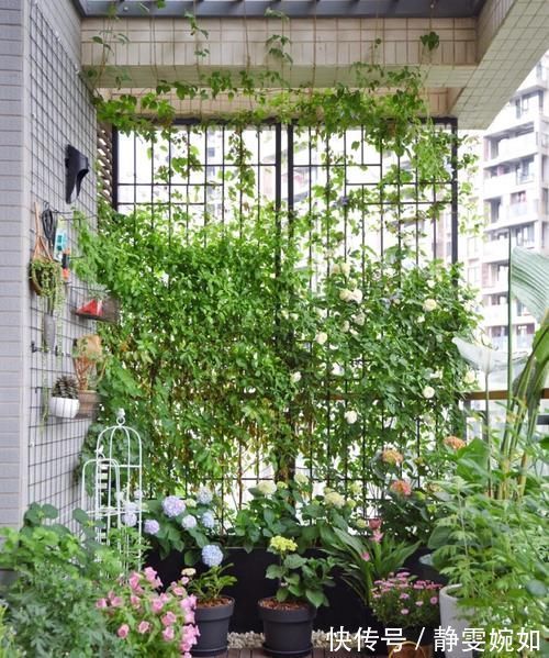 洗碗机|做了这8个装修决定后，家人都在吐槽我，装修完后都跑过来抄作业