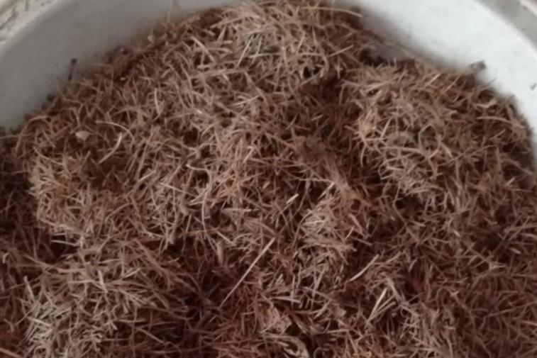 土壤|这些没人要的小东西，一遇上养花人，抢着带回家