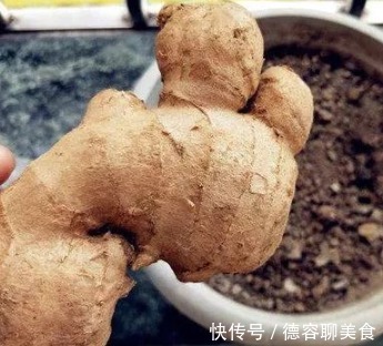 老师傅|保存生姜有窍门,老师傅教你43招!生姜新鲜如初,不发芽不干瘪