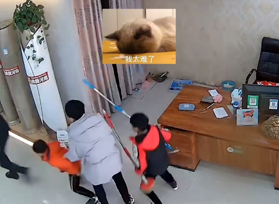 妈妈被欺负俩儿子火了，抄起扫帚追着打，得知真相网友笑了