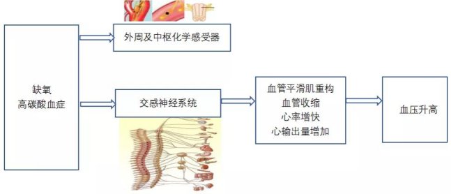 打鼾|睡觉打呼噜竟然跟高血压有关系？看看医生怎么说丨血压降了