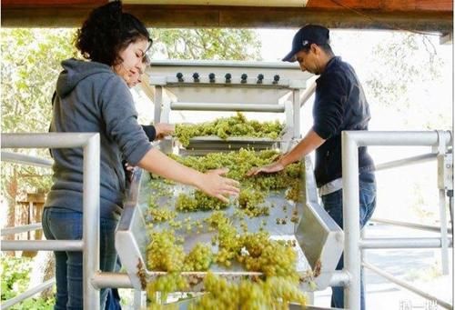 为什么网上卖的葡萄酒很便宜，七八十就可以买一箱，还是进口的？