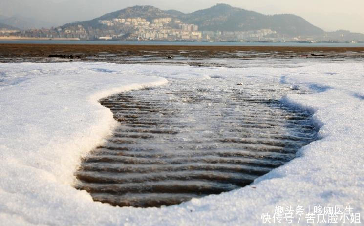 三九天是道坎,想要健康平安度过,建议常喝7款养生饮,简单方便