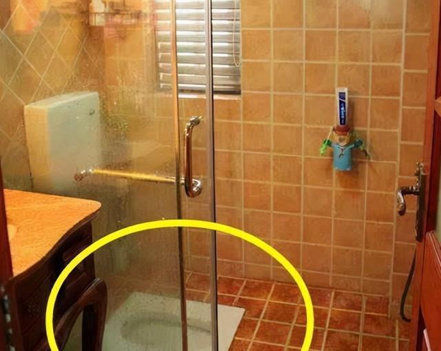 便器|头一次见有钱人将蹲便器装淋浴房里,太聪明了,真懊悔现在才知道