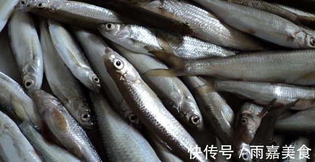 小白条|白条鱼5种最好吃的做法,简单美味又下饭,看看你喜欢吃哪种?
